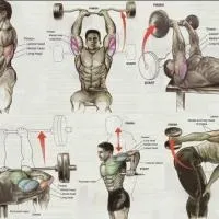 Швунг жимовой - fitness зараз (швунг) Швунг жимовой - fitness зараз