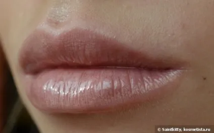 Shiseido luminizing lip gloss be201 відгуки