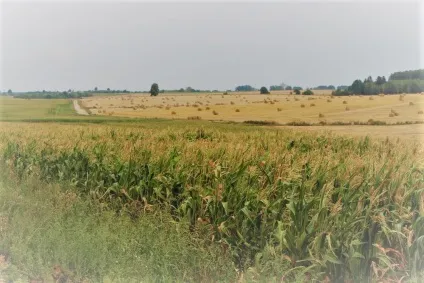 Синковічі церква-фортеця - атмосферность буття