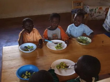 Шкільні обіди різних країн в проекті school lunch