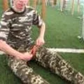 Служба безпеки України