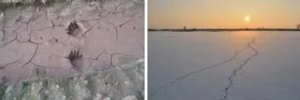 Сліди читання слідів фото як розрізняти сліди тварин диких лісових звірів, берендейкамі - лісова (читання) Сліди читання слідів фото як розрізняти сліди тварин диких лісових звірів, берендейкамі - лісова
