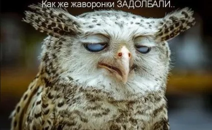 Смішні анекдоти дня!