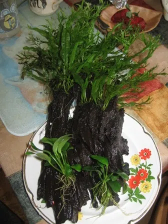 Со2 своїми руками повільна - бражка (руками) Со2 своїми руками повільна - бражка