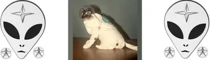 собака інопланетянин