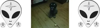 собака інопланетянин