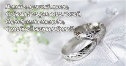 Смішні привітання з срібним весіллям в віршах від чоловіка, дружини і дітей, відео (срібною) Смішні привітання з срібним весіллям в віршах від чоловіка, дружини і дітей, відео