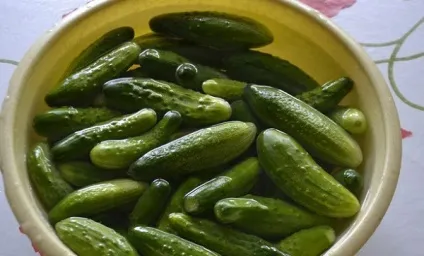 Солоні огірки як з бочки (хрусткі огірочки) Солоні огірки як з бочки