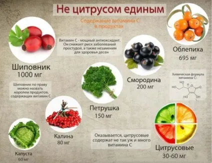 Соковижималка шнековая рейтинг кращих горизонтальні, вертикальні, двухшнековие (кращих) Соковижималка шнековая рейтинг кращих горизонтальні, вертикальні, двухшнековие