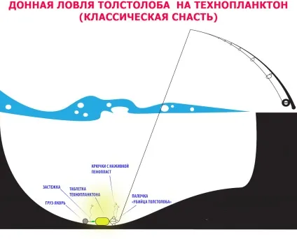 Снасті для лову товстолобика - на технопланктон, з дна і не тільки, донна і з пружиною, (технопланктон) Снасті для лову товстолобика - на технопланктон, з дна і не тільки, донна і з пружиною,