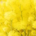 Сонник іспит, до чого сниться іспит здавати