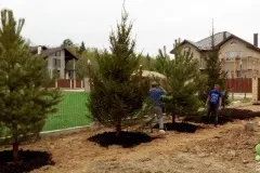 Соверен - ландшафтне озеленення (ландшафтного дизайну Соверен - ландшафтне озеленення