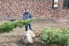 Соверен - ландшафтне озеленення (ландшафтного дизайну Соверен - ландшафтне озеленення