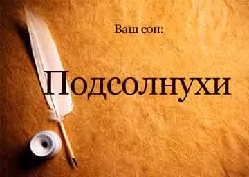 Сонник соняшники цвітуть уві сні поле бачити до чого сниться (сонник) Сонник соняшники цвітуть уві сні поле бачити до чого сниться