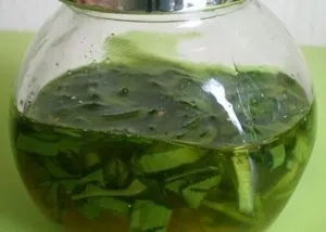 Спиртова настоянка алое застосування (спиртова) Спиртова настоянка алое застосування