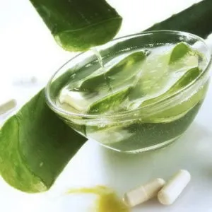 Спиртова настоянка алое застосування (алое народній медицині) Спиртова настоянка алое застосування