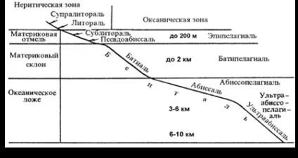 Навколишнє середовище живих організмів, водне середовище проживання - гідросфера, екологічні групи (організмів) Навколишнє середовище живих організмів, водне середовище проживання - гідросфера, екологічні групи
