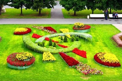 Створити райський куточок біля будинку (створити) Створити райський куточок біля будинку