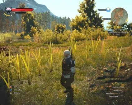 Способи швидкого заробітку грошей - інше - witcher 3 wild hunt, the - проходження, гайд, (заробітку) Способи швидкого заробітку грошей - інше - witcher 3 wild hunt, the - проходження, гайд,