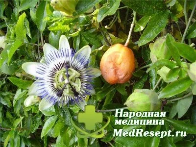 Правець симптоми, профілактика та лікування - медичні поради (профілактика) Правець симптоми, профілактика та лікування - медичні поради