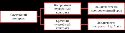 Термін дії службового контракту - студопедія (методичка) Термін дії службового контракту - студопедія