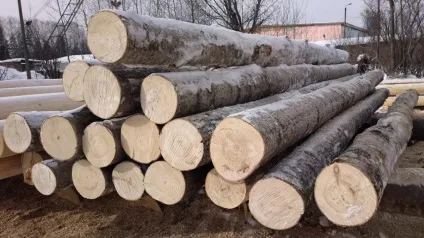 Зруби для будинку, дачі, лазні під дах (лазні) Зруби для будинку, дачі, лазні під дах