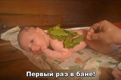 Зруби для будинку, дачі, лазні під дах (зруби) Зруби для будинку, дачі, лазні під дах