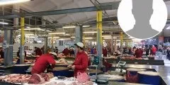 Структури сенатора Канокова зацікавилися купівлею Кунцевського ринку (структури) Структури сенатора Канокова зацікавилися купівлею Кунцевського ринку
