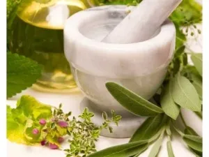 Стоматит - лікування в домашніх умовах народними засобами (лікування) Стоматит - лікування в домашніх умовах народними засобами