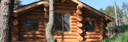 Будівництво будинків з кедра (кедра Деревина кедра) Будівництво будинків з кедра