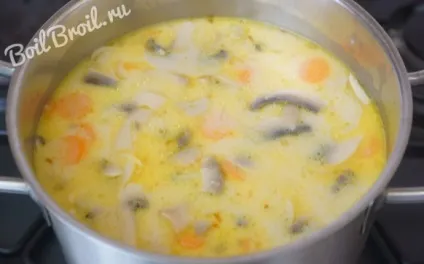 Суп-локшина з грибами - покроковий рецепт з фото (грибами) Суп-локшина з грибами - покроковий рецепт з фото