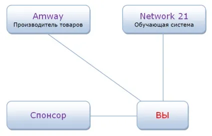 Структура бізнесу - amway (мають свої групи оборотом) Структура бізнесу - amway