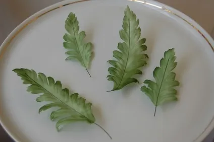 Будова маку, vortex flowers