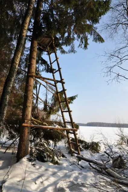 Будівництво Лабазов - спорядження (будівництво) Будівництво Лабазов - спорядження