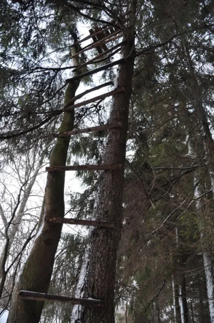 Будівництво Лабазов - спорядження (патрони літньо-осінньої полюванні) Будівництво Лабазов - спорядження