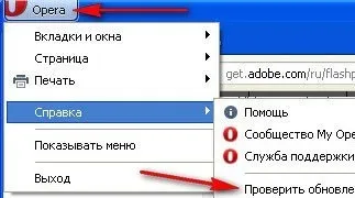 Як завантажити і встановити adobe flash player - як правильно вибрати і зібрати комп'ютер (версія) Як завантажити і встановити adobe flash player - як правильно вибрати і зібрати комп'ютер