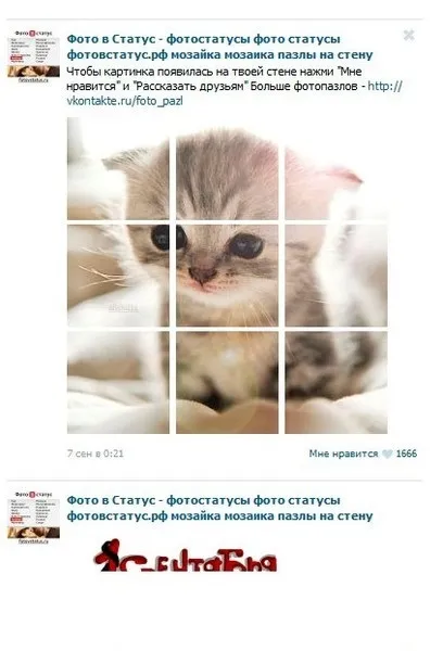 Як зробити в контакті фотопазли