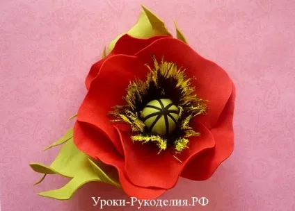 Як зробити квітку мак з фоамірана - уроки рукоділля (як зробити мак) Як зробити квітку мак з фоамірана - уроки рукоділля