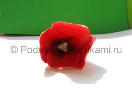 Як зліпити тюльпан з пластиліну (тюльпан) Як зліпити тюльпан з пластиліну