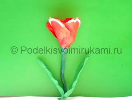 Як зліпити тюльпан з пластиліну (зліпити тюльпан пластиліну) Як зліпити тюльпан з пластиліну