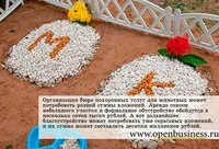 Весільна каплиця на воді