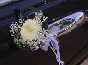 Весільне торжество все включено за 150 тр, служба виїзної реєстрації шлюбу (виїзна реєстрація шлюбу в москві і Підмосков'ї) Весільне торжество все включено за 150 тр, служба виїзної реєстрації шлюбу