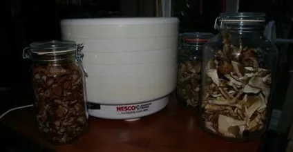 Сушка для грибів і фруктів поради щодо вибору та огляд кращих моделей