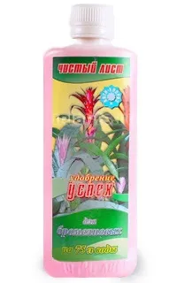 Тілландсия tillandsia