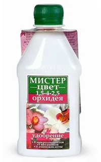 Тілландсия tillandsia