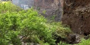 Тенеріфе або майорка що вибрати для відпочинку (вхід дрібний пісок) Тенеріфе або майорка що вибрати для відпочинку