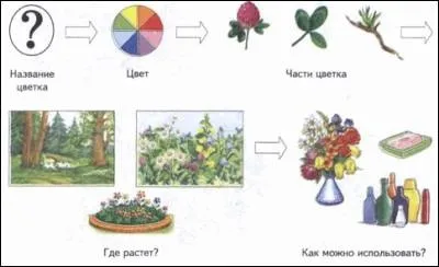 Тема квіти - 9 серпня 2013 - логопед будинку (квіти) Тема квіти - 9 серпня 2013 - логопед будинку