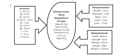 Гарбузове насіння з медом від простатиту рецепт (насіння) Гарбузове насіння з медом від простатиту рецепт