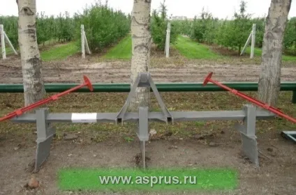 Технології вирощування високоякісних саджанців, аппяпм (саджанці плодових культур) Технології вирощування високоякісних саджанців, аппяпм