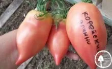 Томат маруся опис сорту